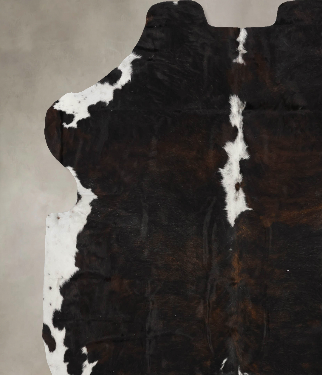 Tricolor X-Large European Cowhide Rug 7'0"H x 6'6"W #B11925 by Hudson 