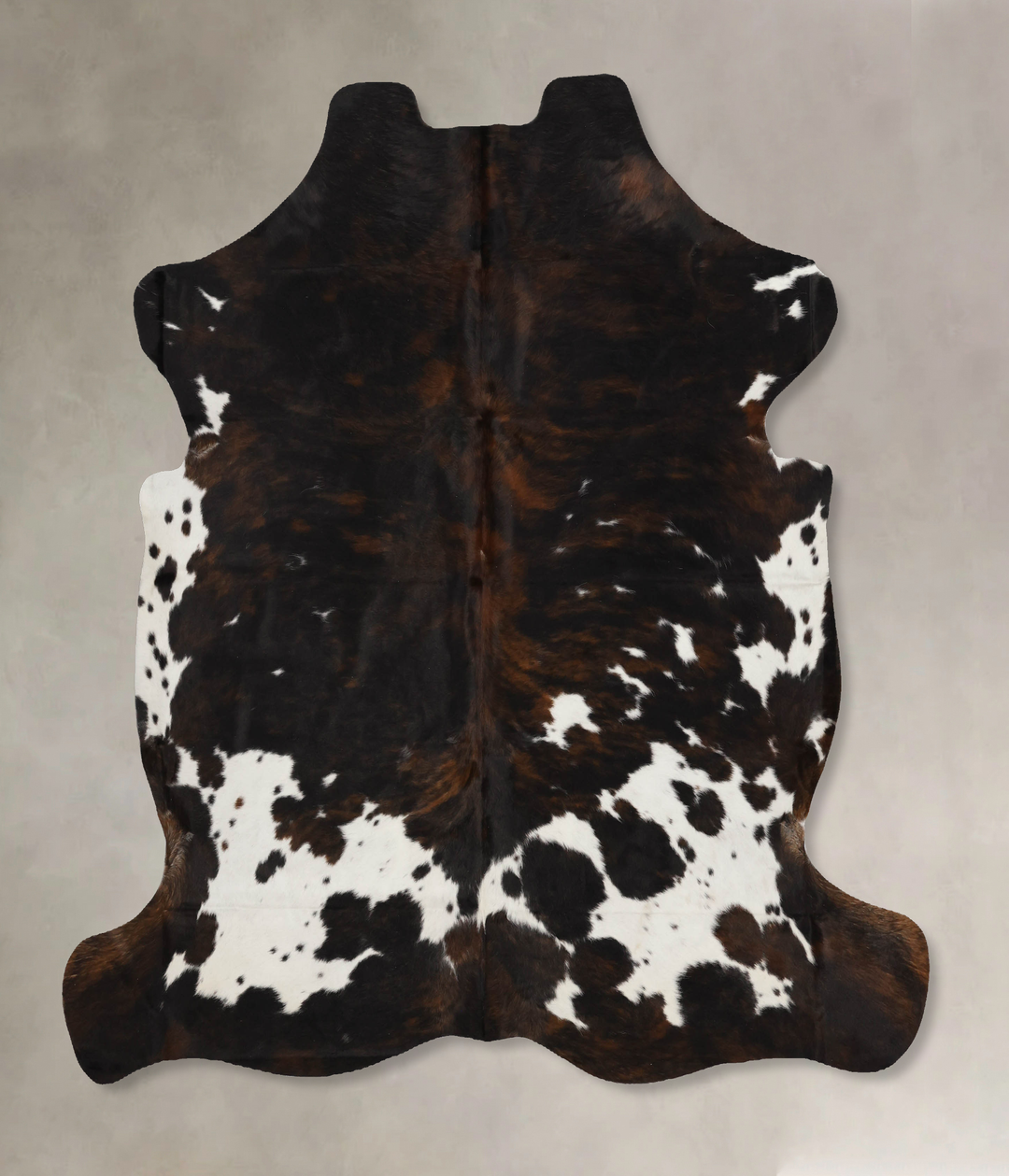 Tricolor X-Large European Cowhide Rug 6'10"H x 6'6"W #B11927 by Hudson