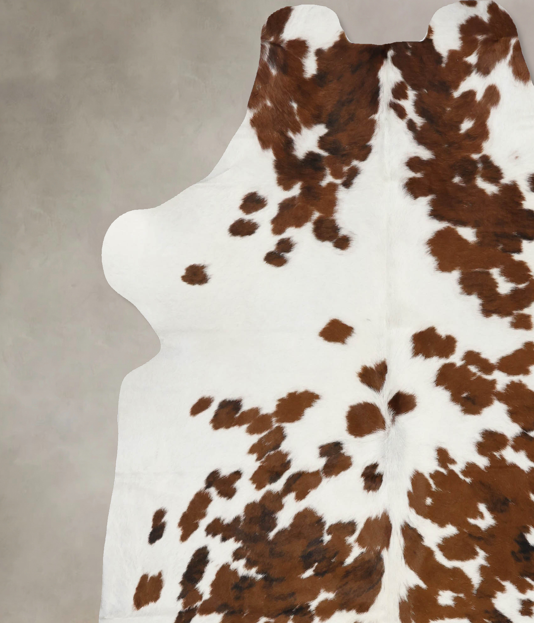 Tricolor X-Large European Cowhide Rug 7'4"H x 6'8"W #B11929 by Hudson 