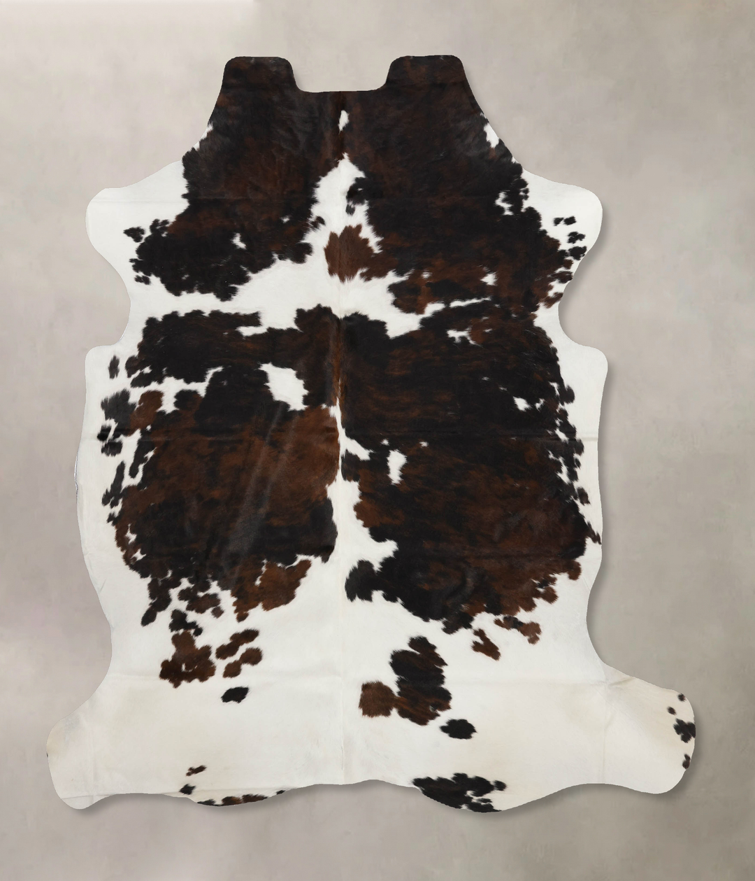 Tricolor X-Large European Cowhide Rug 7'1"H x 6'3"W #B11931 by Hudson 