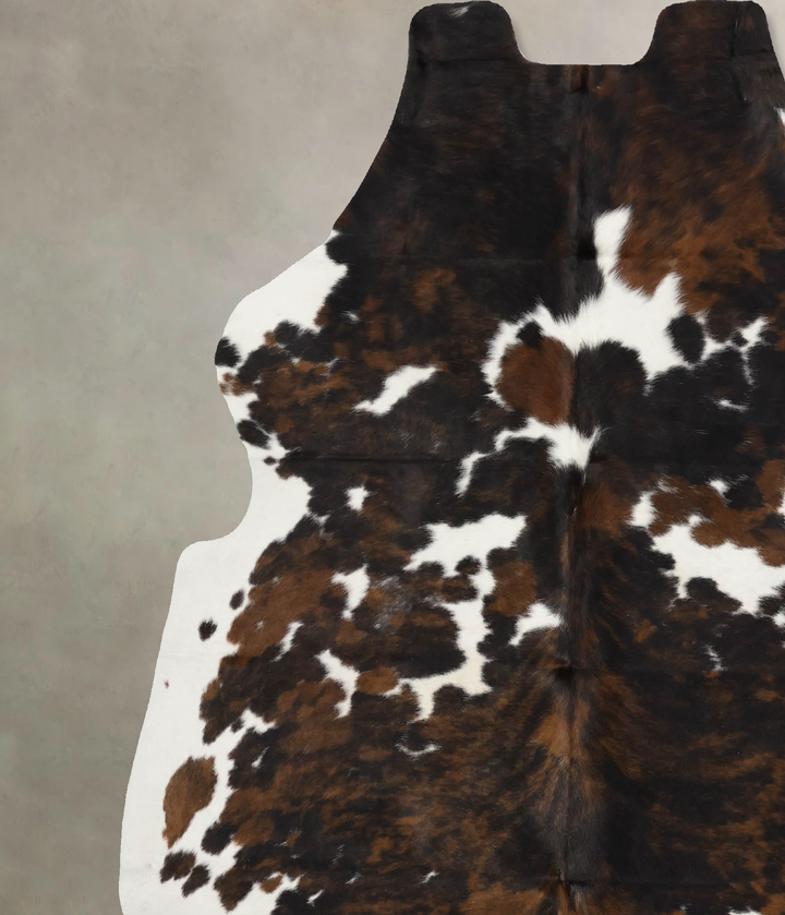 Tricolor X-Large European Cowhide Rug 6'11"H x 6'5"W #B11932 by Hudson Hides