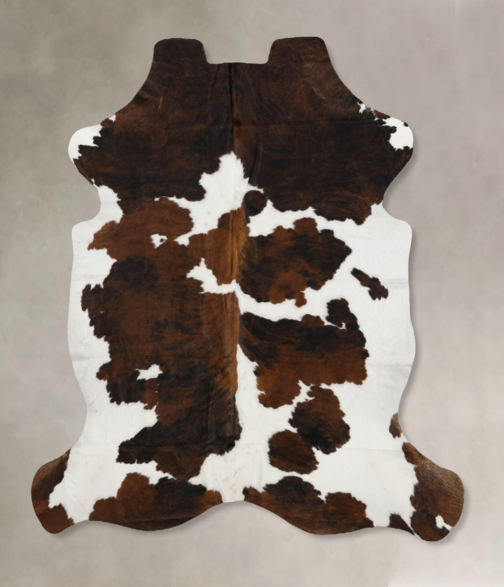 Tricolor X-Large European Cowhide Rug 6'11"H x 6'1"W #B11939 by Hudson Hides
