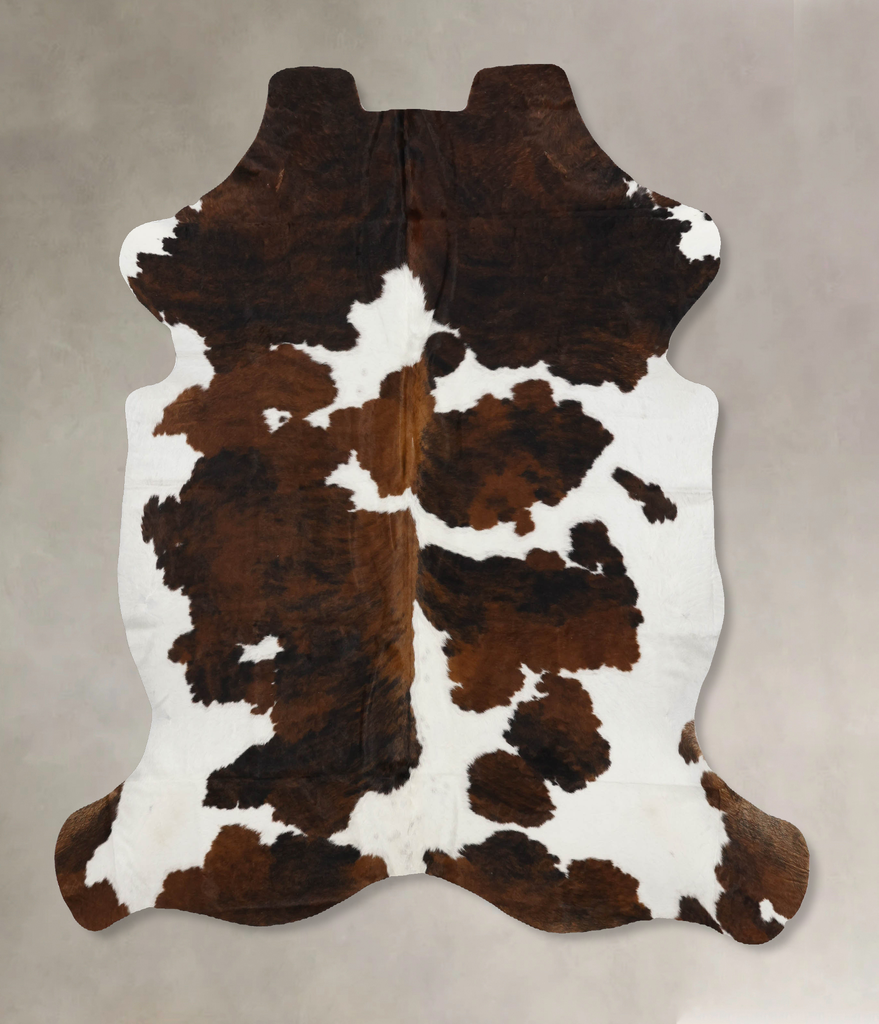 Tricolor X-Large European Cowhide Rug 6'11"H x 6'1"W #B11939 by Hudson Hides