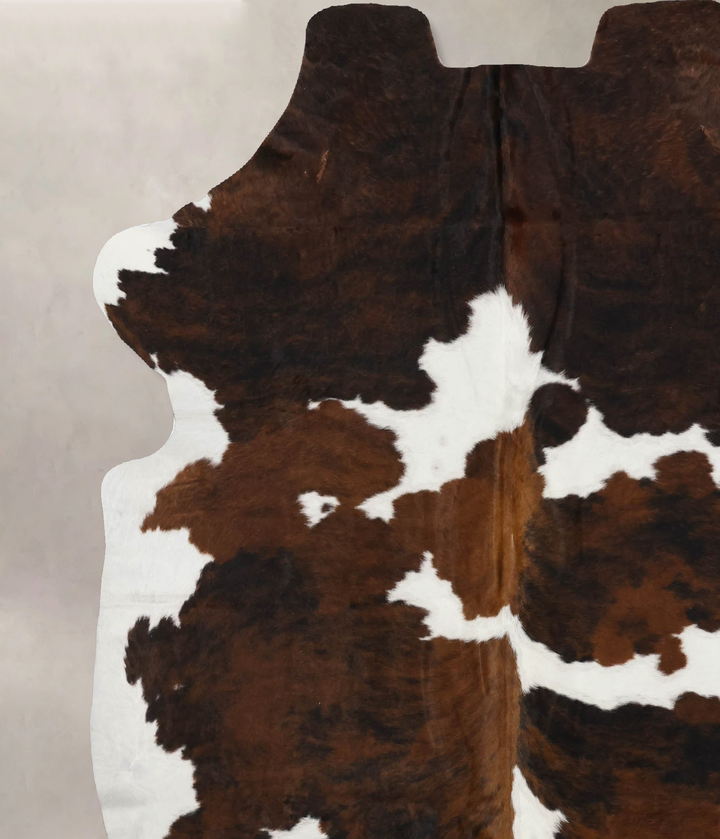 Tricolor X-Large European Cowhide Rug 6'11"H x 6'1"W #B11939 by Hudson Hides