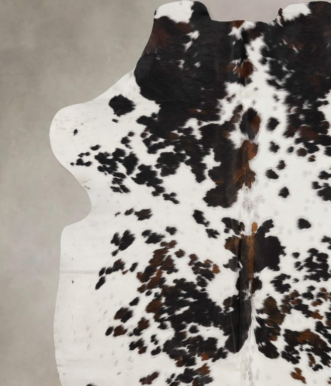 Tricolor X-Large European Cowhide Rug 7'1"H x 6'7"W #B11946 by Hudson 