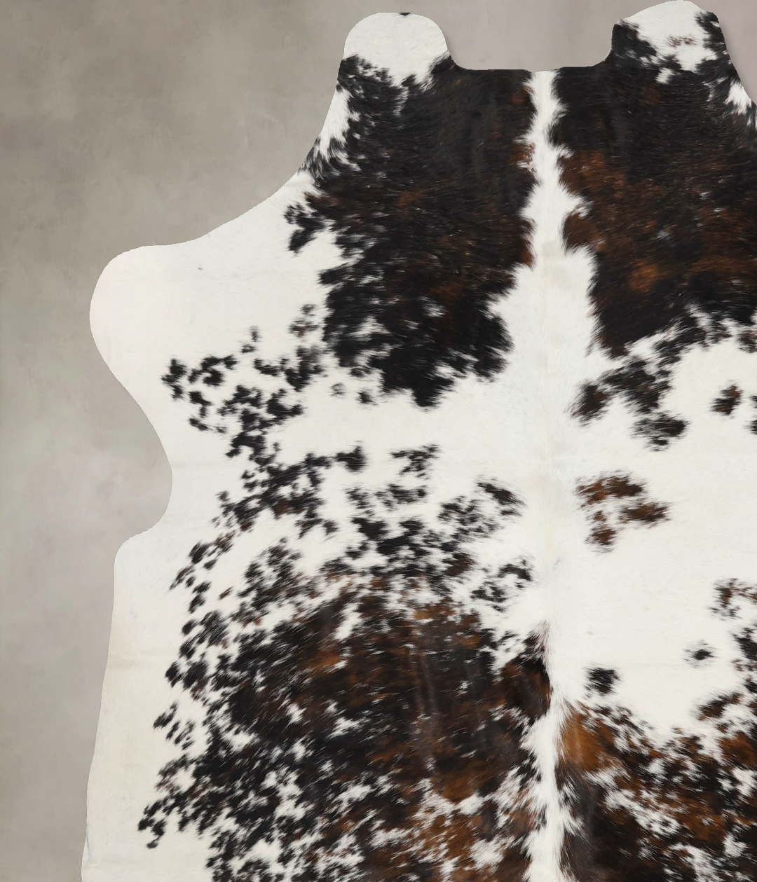 Tricolor X-Large European Cowhide Rug 7'2"H x 6'5"W #B11949 by Hudson 