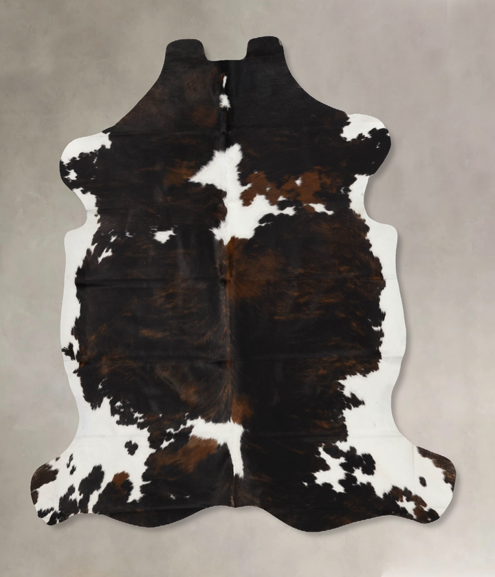 Tricolor X-Large European Cowhide Rug 7'0"H x 6'2"W #B11966 by Hudson Hides
