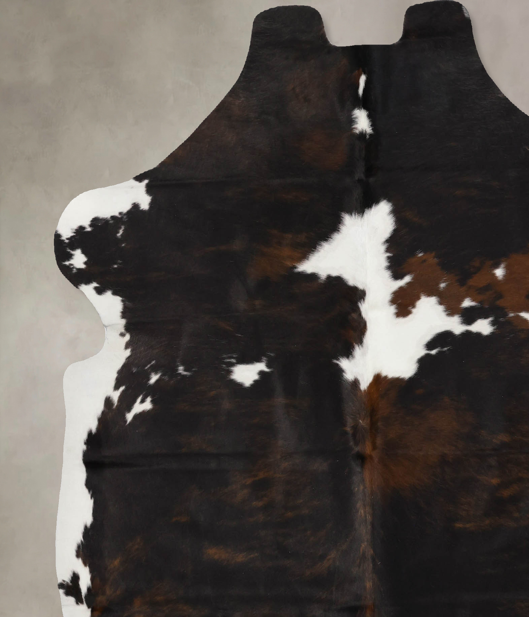 Tricolor X-Large European Cowhide Rug 7'0"H x 6'2"W #B11966 by Hudson 