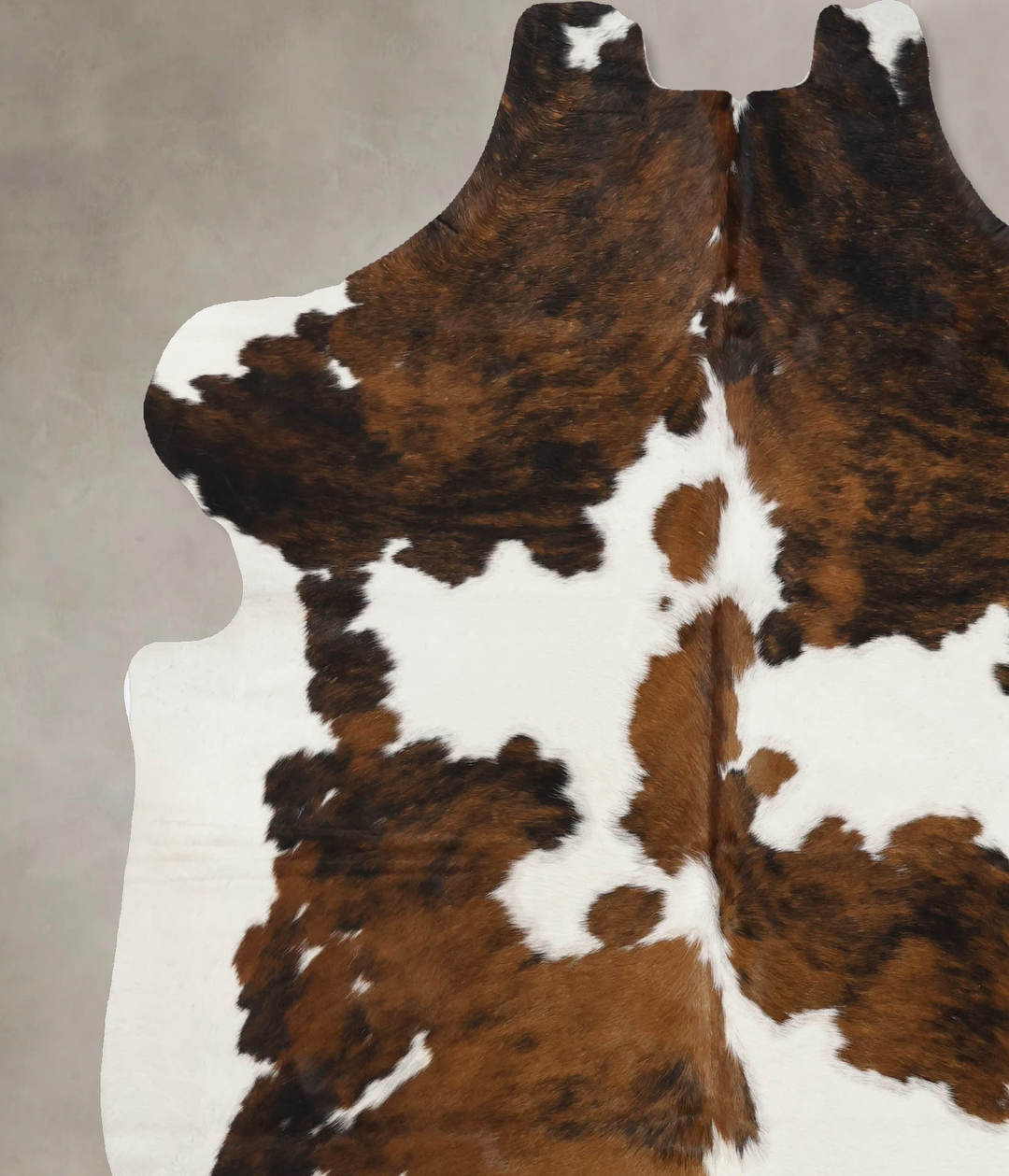 Tricolor X-Large European Cowhide Rug 7'3"H x 6'3"W #B11967 by Hudson 