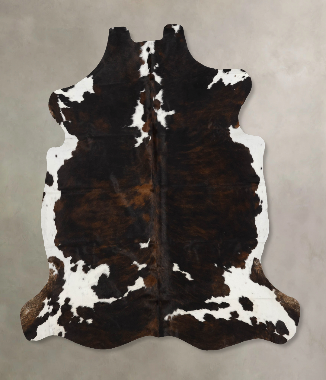 Tricolor X-Large European Cowhide Rug 6'10"H x 6'6"W #B11969 by Hudson
