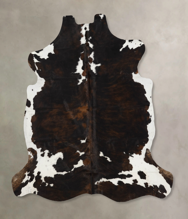 Tricolor X-Large European Cowhide Rug 6'10"H x 6'6"W #B11969 by Hudson Hides