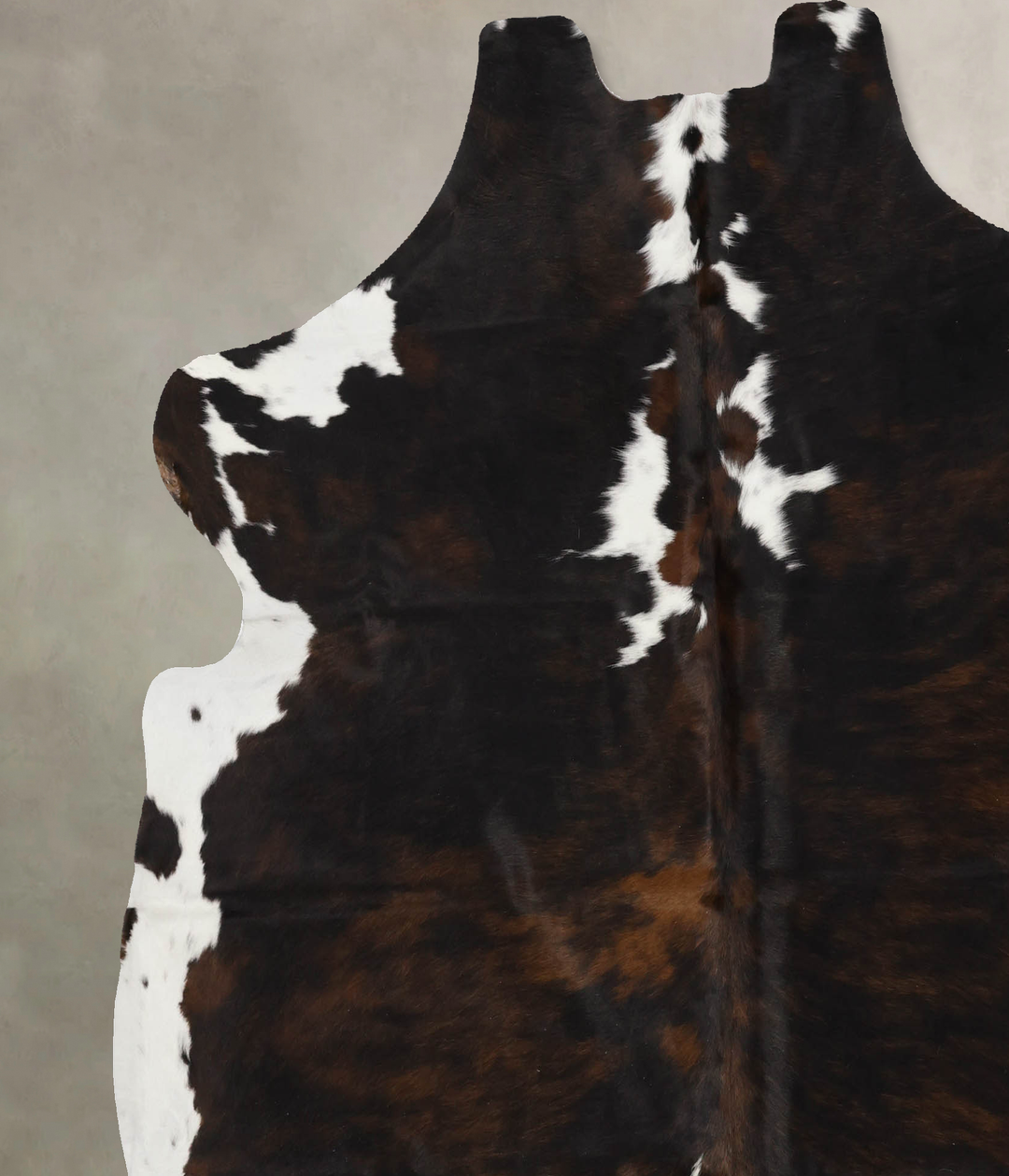Tricolor X-Large European Cowhide Rug 6'10"H x 6'6"W #B11969 by Hudson