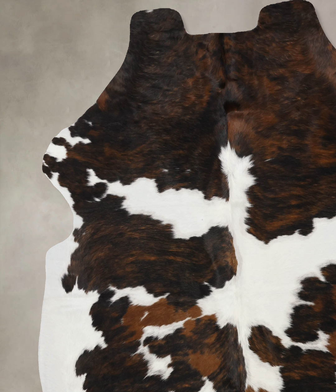 Tricolor X-Large European Cowhide Rug 6'11"H x 6'3"W #B11972 by Hudson