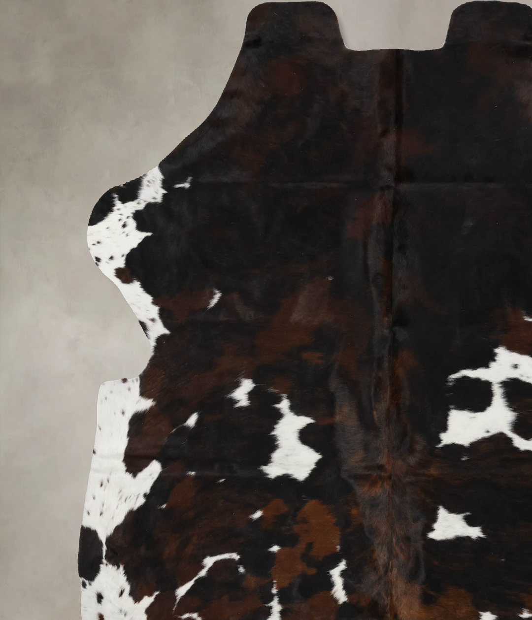Tricolor X-Large European Cowhide Rug 7'0"H x 6'3"W #B11976 by Hudson 