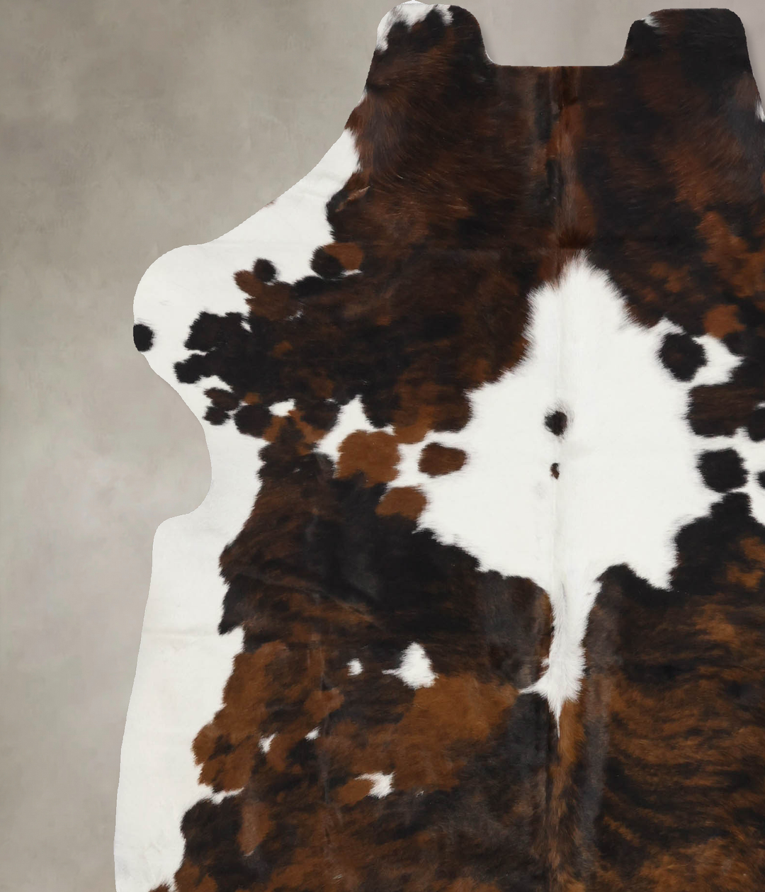 Tricolor X-Large European Cowhide Rug 6'11"H x 6'2"W #B11980 by Hudson