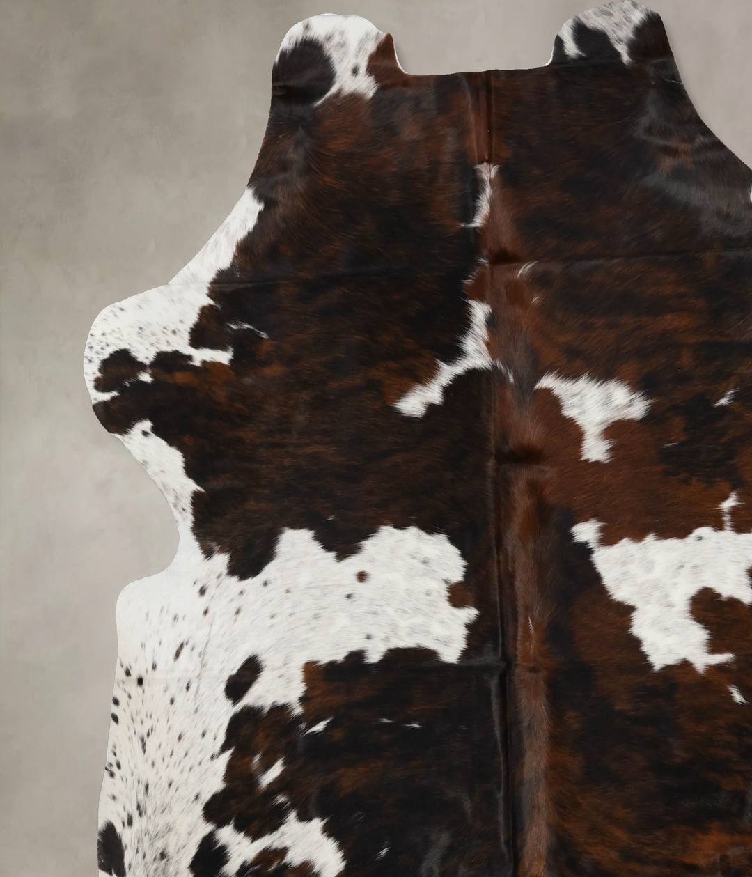 Tricolor X-Large European Cowhide Rug 7'3"H x 6'10"W #B11982 by Hudson