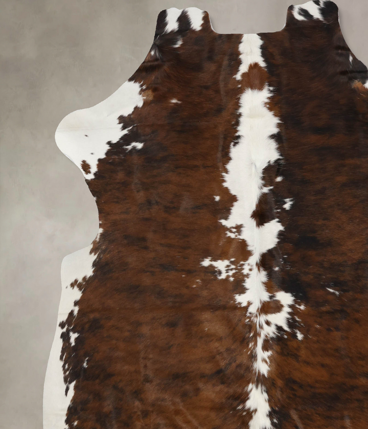 Tricolor X-Large European Cowhide Rug 7'1"H x 6'3"W #B11984 by Hudson Hides