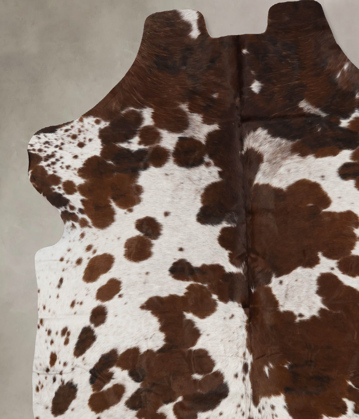 Tricolor X-Large European Cowhide Rug 7'2"H x 6'6"W #B11990 by Hudson Hides