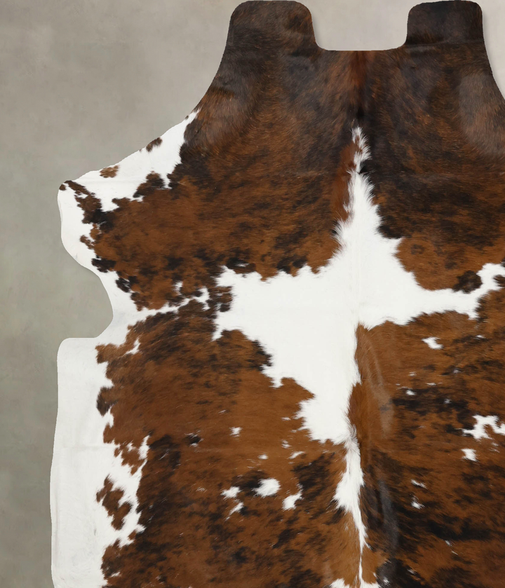 Tricolor X-Large European Cowhide Rug 7'1"H x 6'7"W #B11991 by Hudson Hides