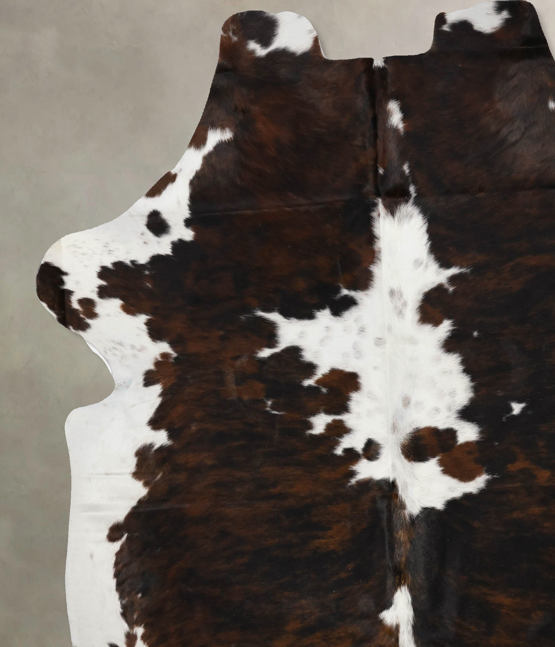Tricolor X-Large European Cowhide Rug 7'4"H x 6'7"W #B11993 by Hudson 