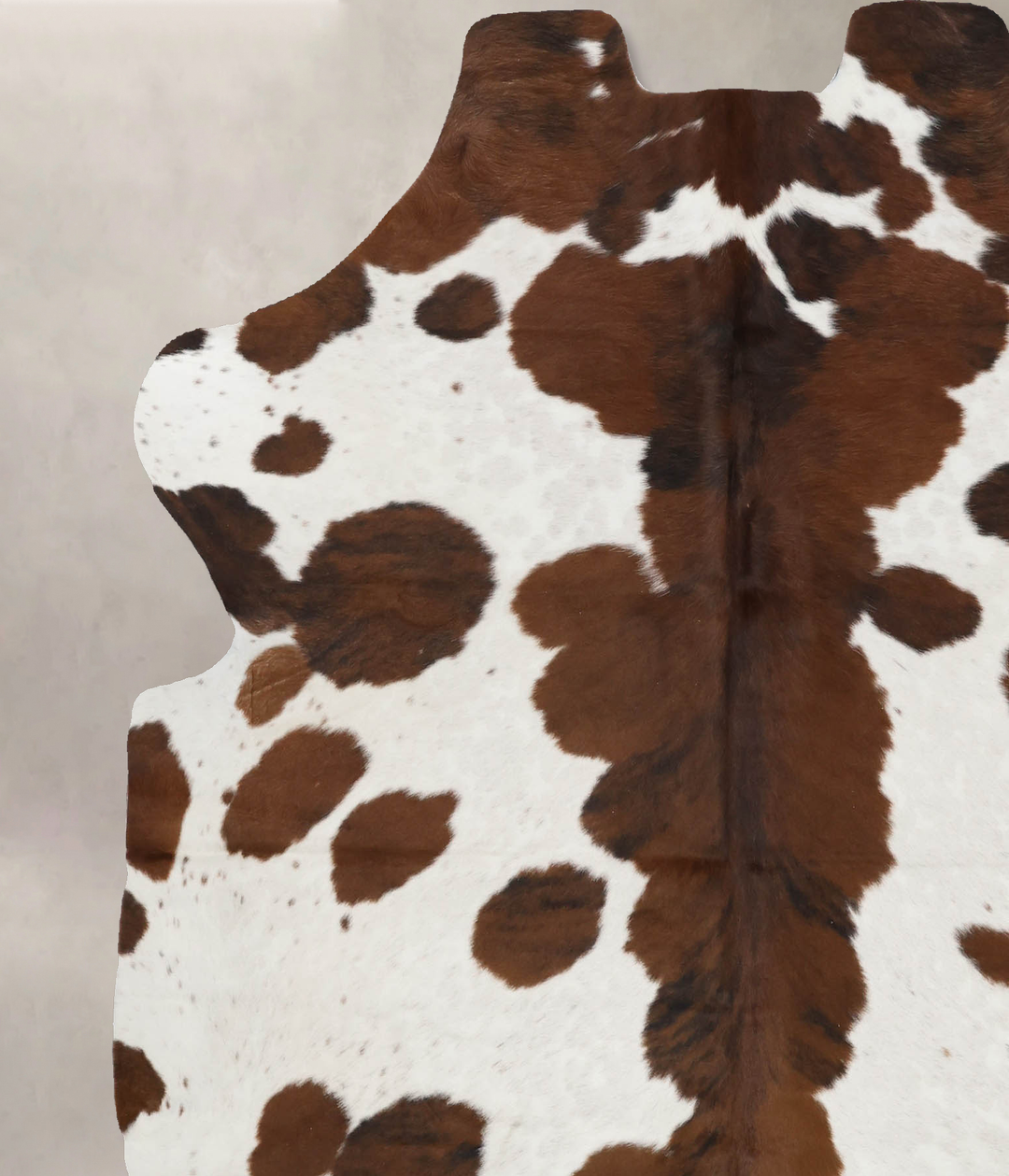 Tricolor X-Large European Cowhide Rug 6'11"H x 6'0"W #B11995 by Hudson