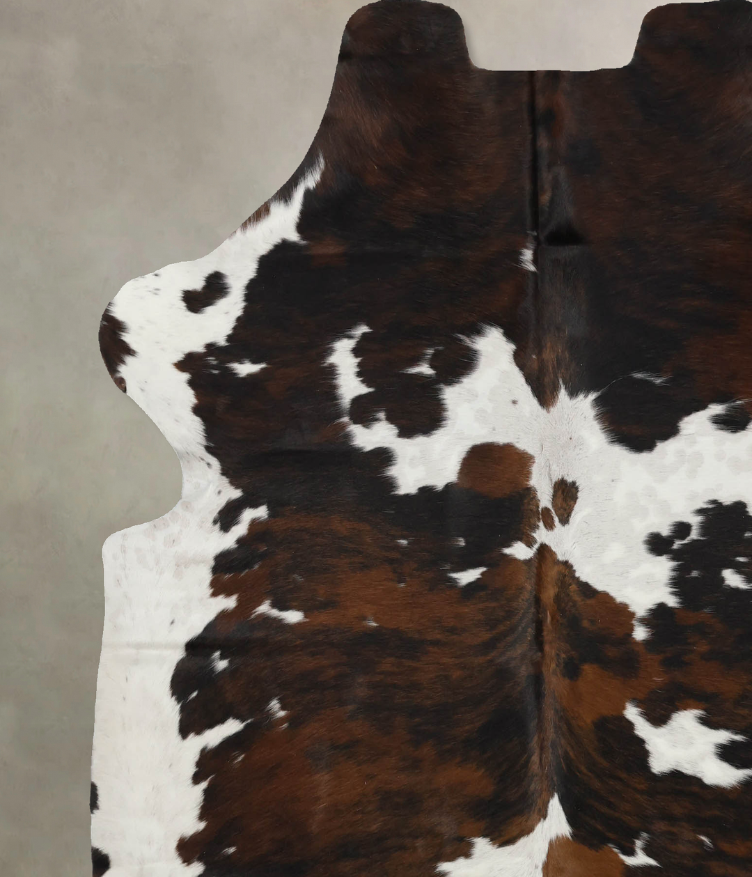Tricolor X-Large European Cowhide Rug 6'10"H x 6'0"W #B12008 by Hudson