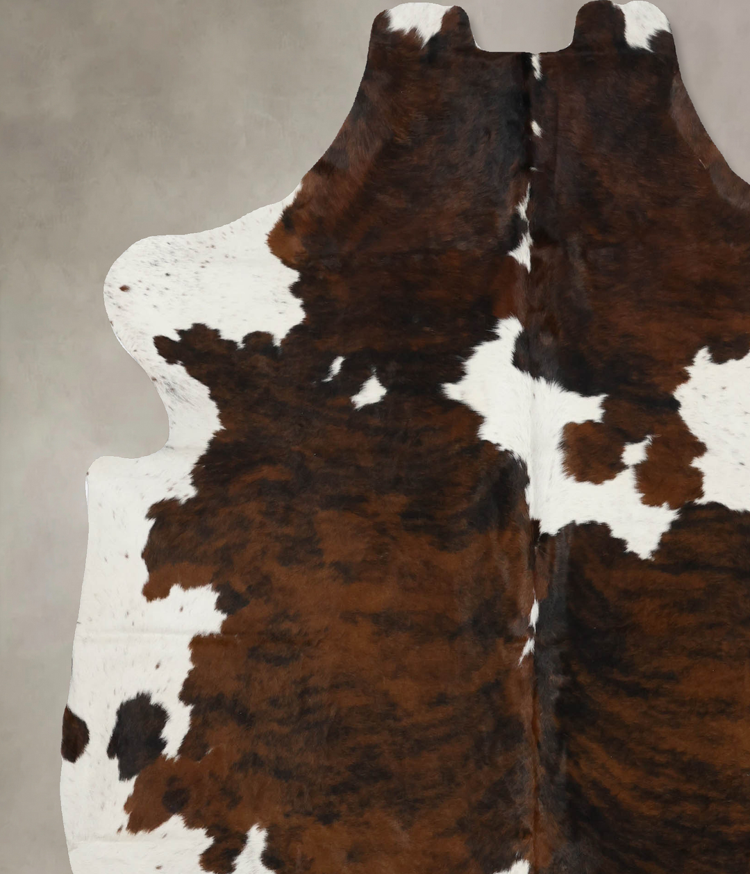 Tricolor X-Large European Cowhide Rug 7'2"H x 6'5"W #B12010 by Hudson 