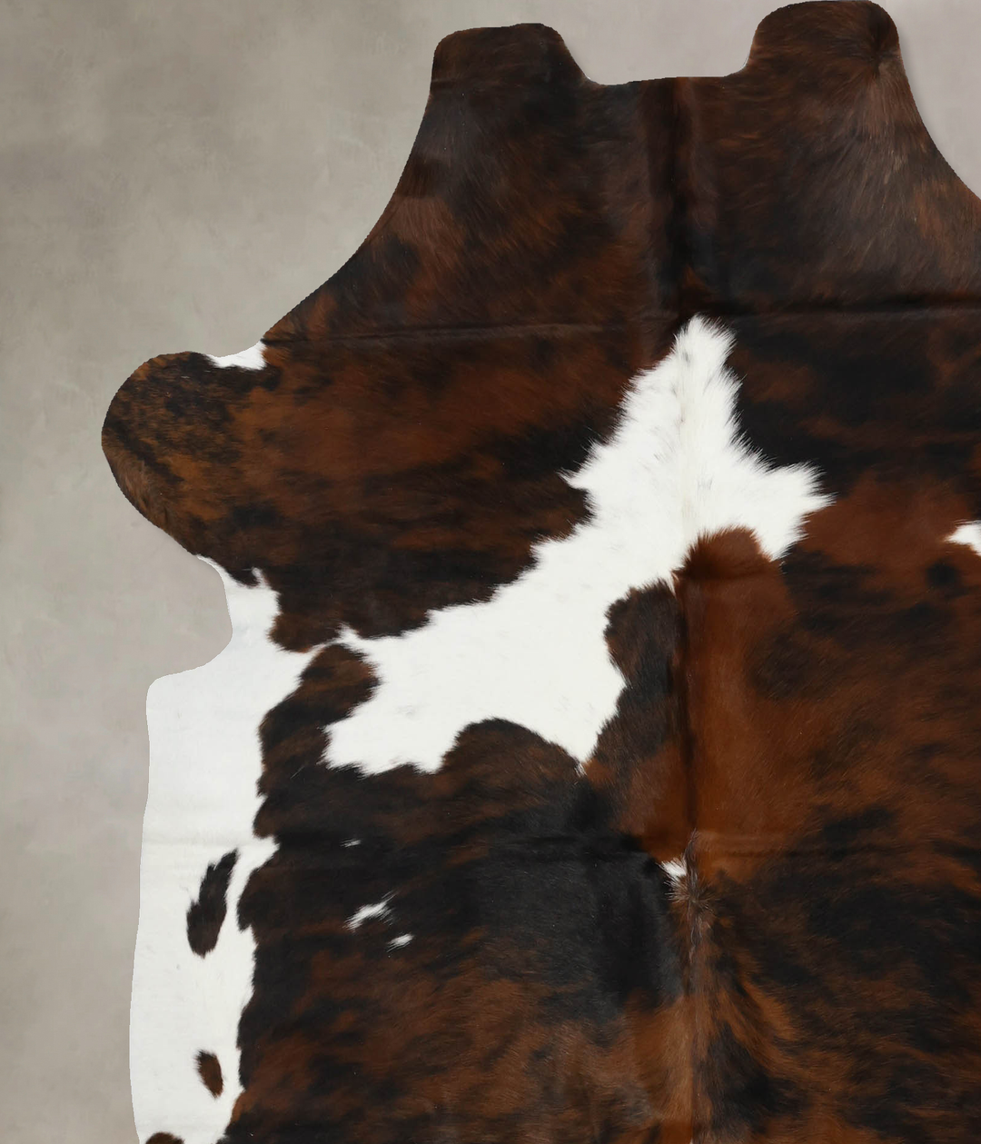 Tricolor X-Large European Cowhide Rug 6'11"H x 6'4"W #B12012 by Hudson