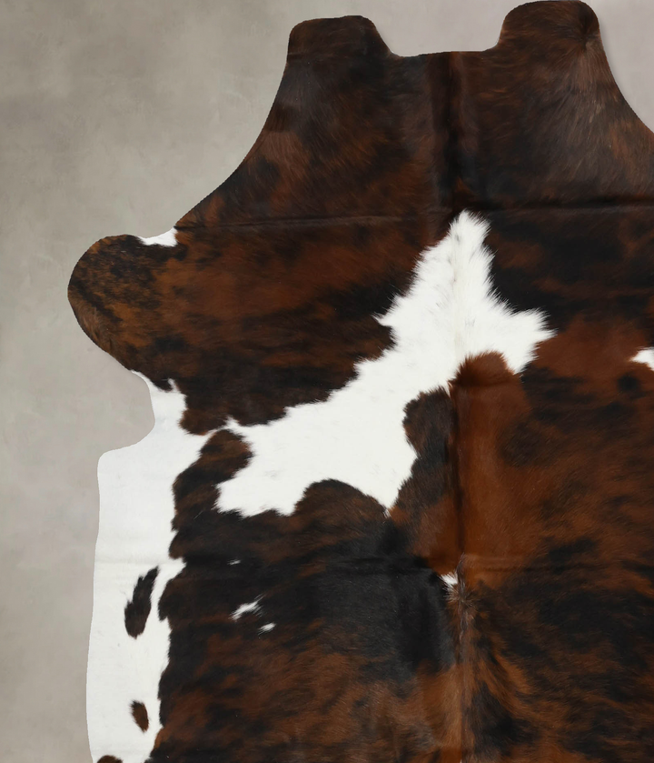 Tricolor X-Large European Cowhide Rug 6'11"H x 6'4"W #B12012 by Hudson Hides