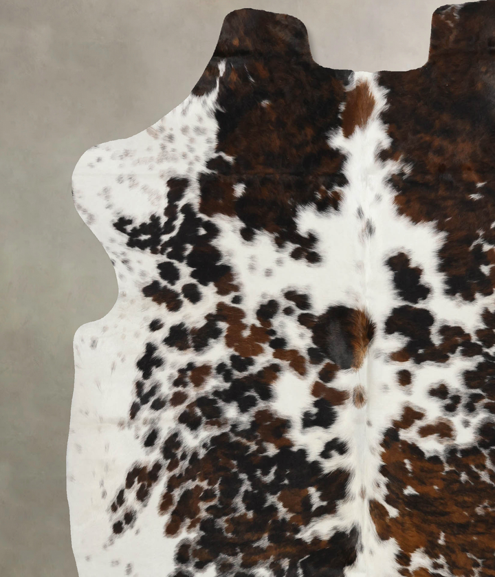 Tricolor X-Large European Cowhide Rug 6'11"H x 6'5"W #B12023 by Hudson Hides