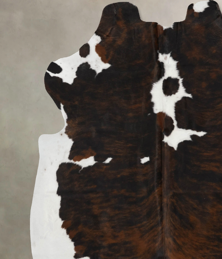 Tricolor X-Large European Cowhide Rug 6'10"H x 6'3"W #B12027 by Hudson Hides
