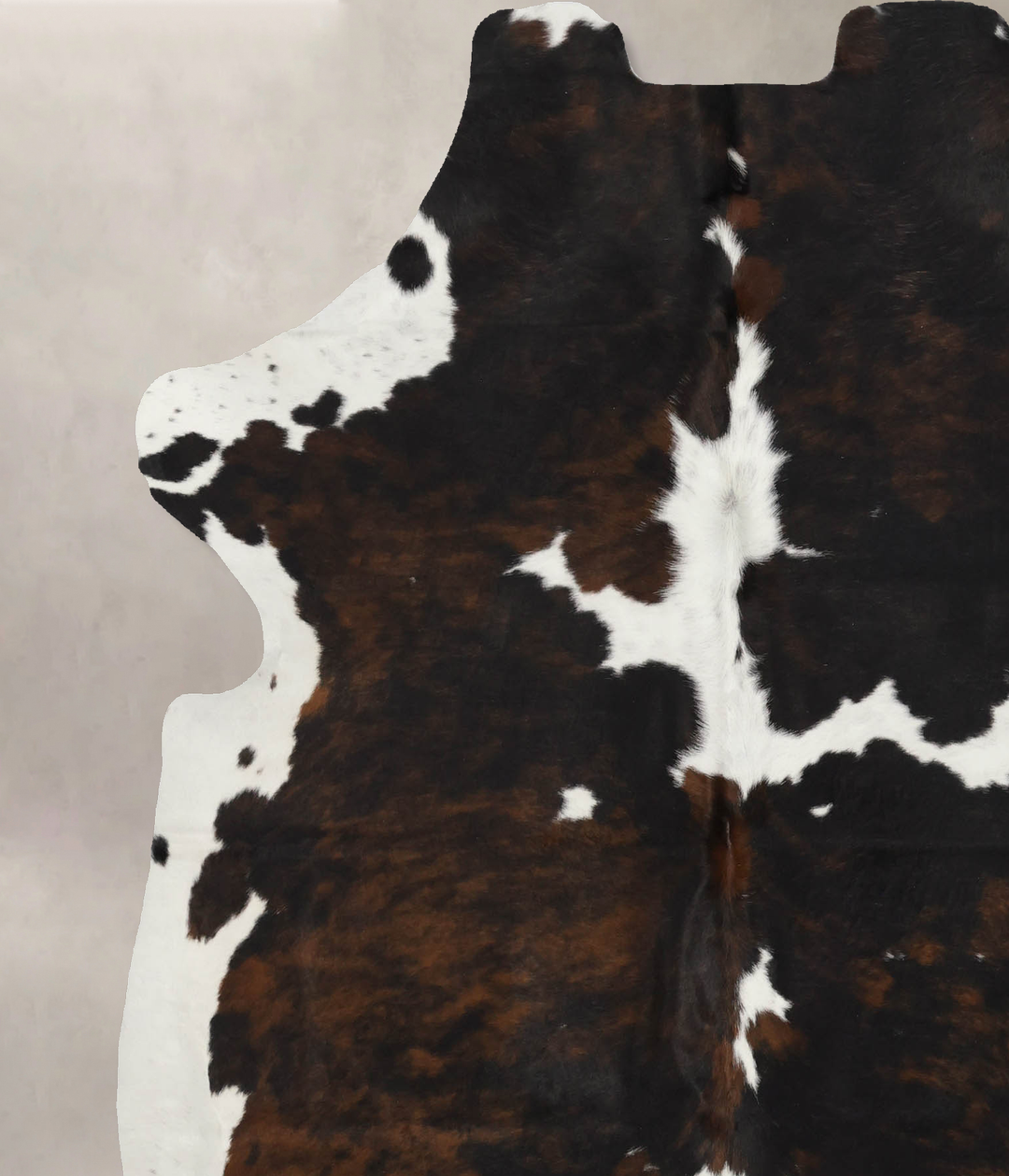 Tricolor X-Large European Cowhide Rug 6'10"H x 6'0"W #B12034 by Hudson