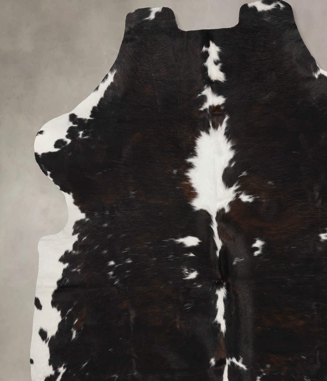 Tricolor X-Large European Cowhide Rug 7'3"H x 6'4"W #B12036 by Hudson 