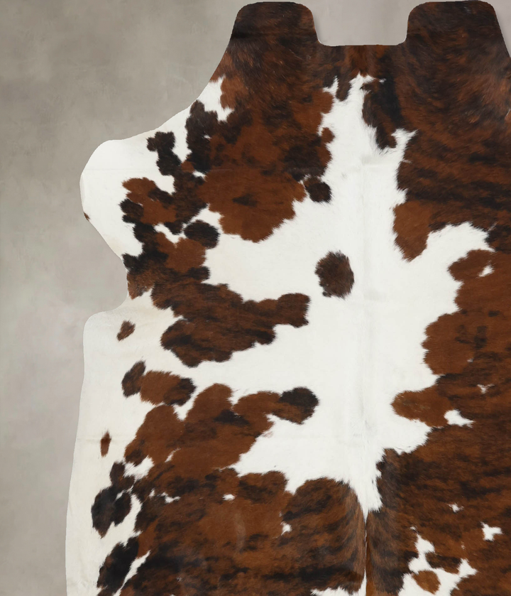 Tricolor X-Large European Cowhide Rug 7'0"H x 6'5"W #B12037 by Hudson Hides