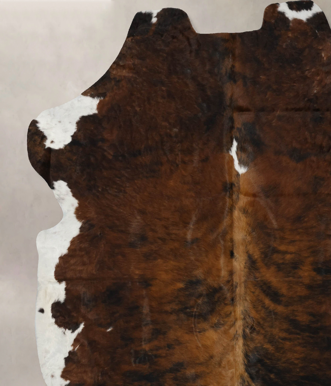 Tricolor X-Large European Cowhide Rug 7'5"H x 6'6"W #B12041 by Hudson 