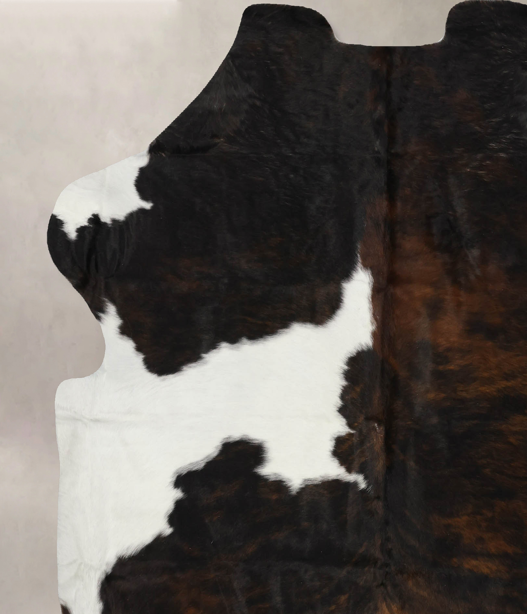 Tricolor X-Large European Cowhide Rug 7'1"H x 6'4"W #B12042 by Hudson 