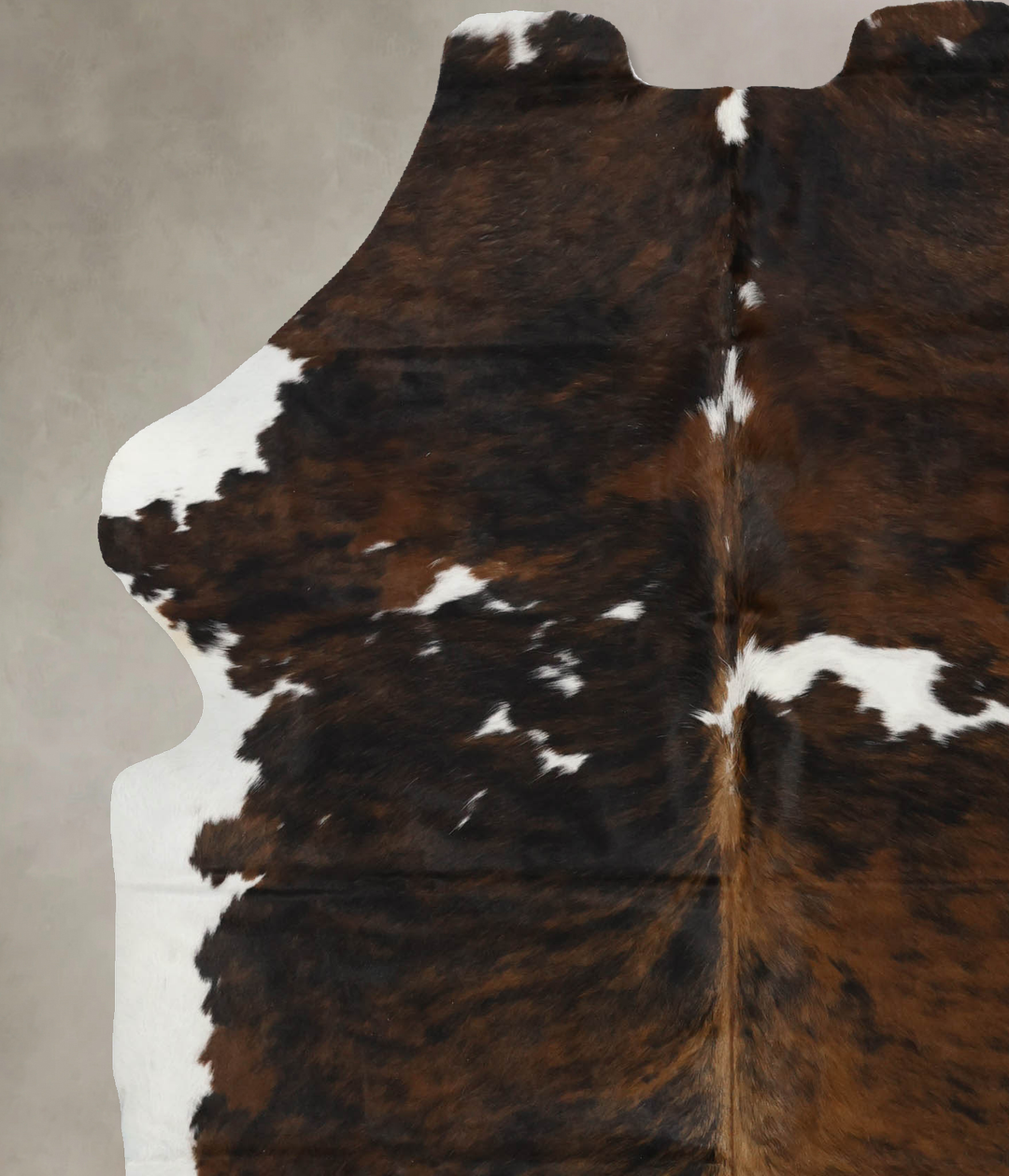 Tricolor X-Large European Cowhide Rug 7'2"H x 5'8"W #B12045 by Hudson 