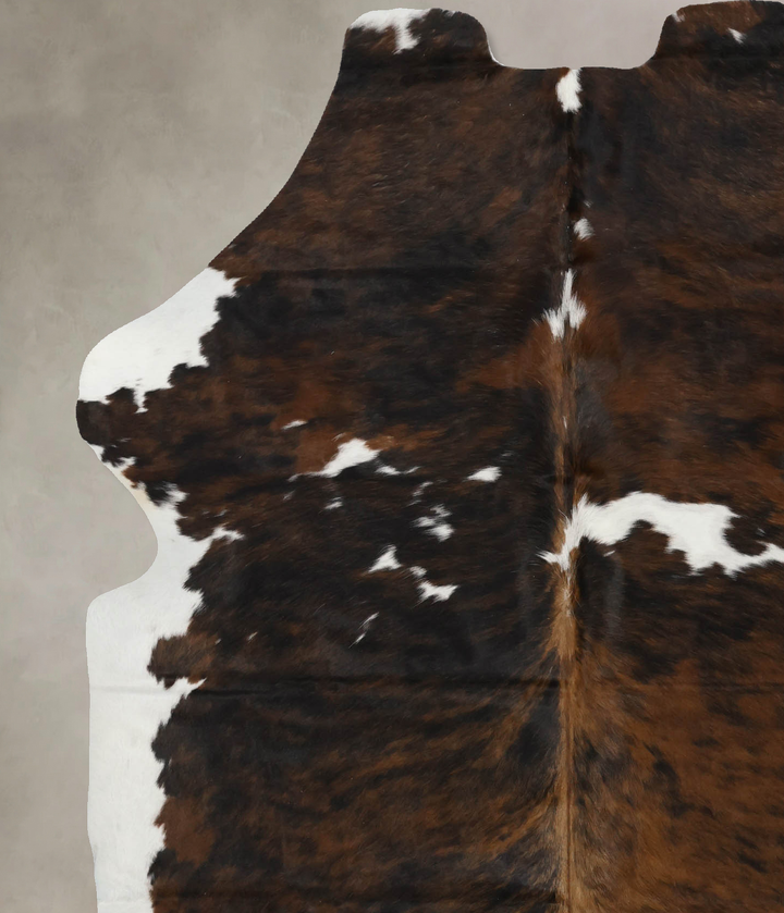 Tricolor X-Large European Cowhide Rug 7'2"H x 5'8"W #B12045 by Hudson Hides