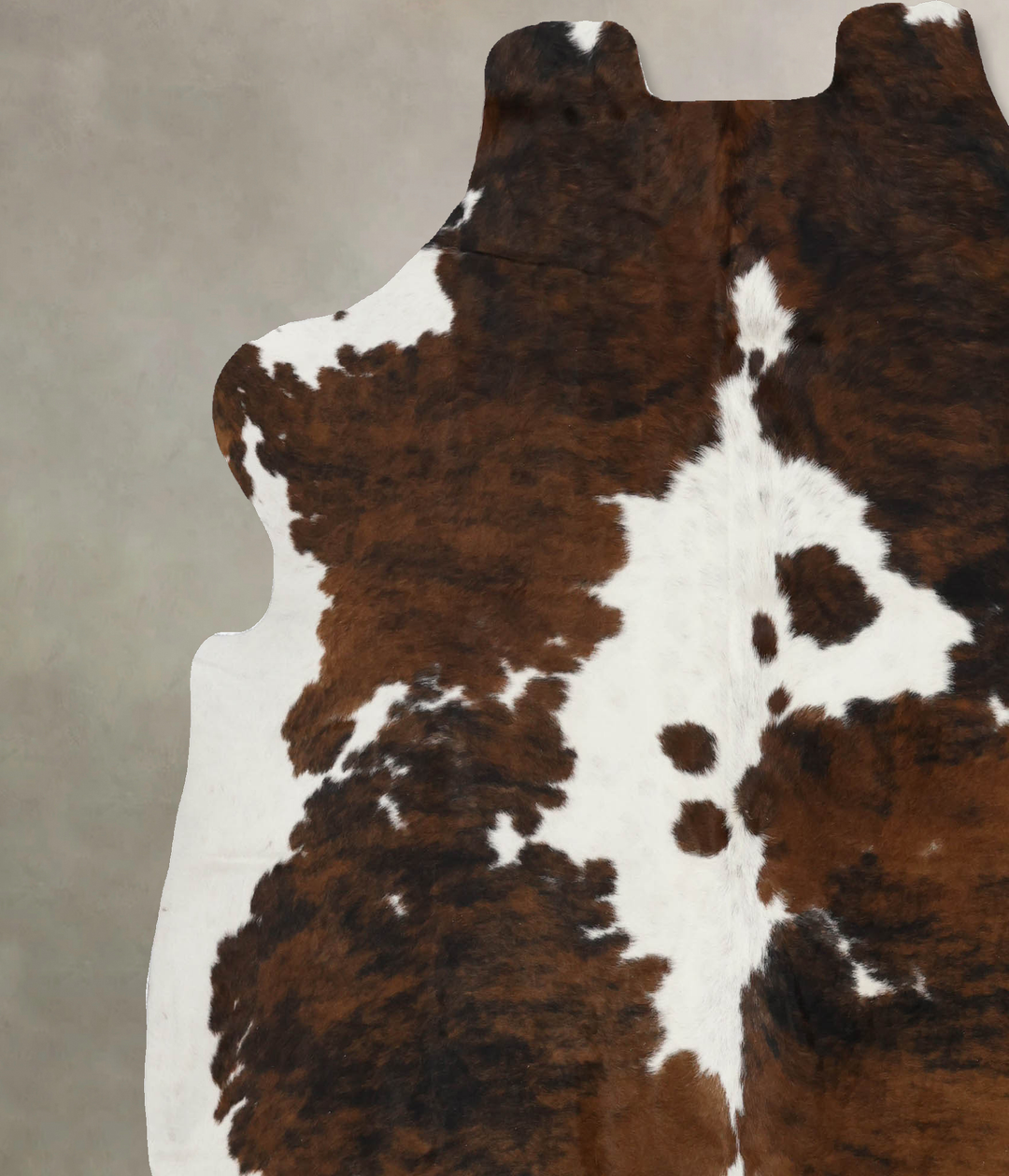Tricolor X-Large European Cowhide Rug 7'3"H x 6'7"W #B12046 by Hudson 