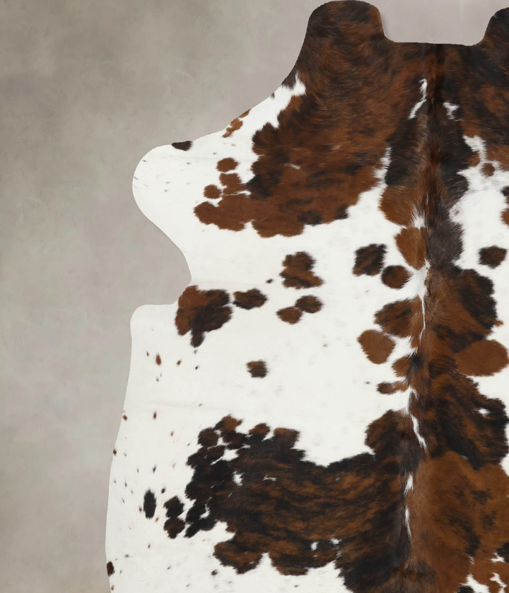 Tricolor X-Large European Cowhide Rug 7'0"H x 5'11"W #B12047 by Hudson Hides