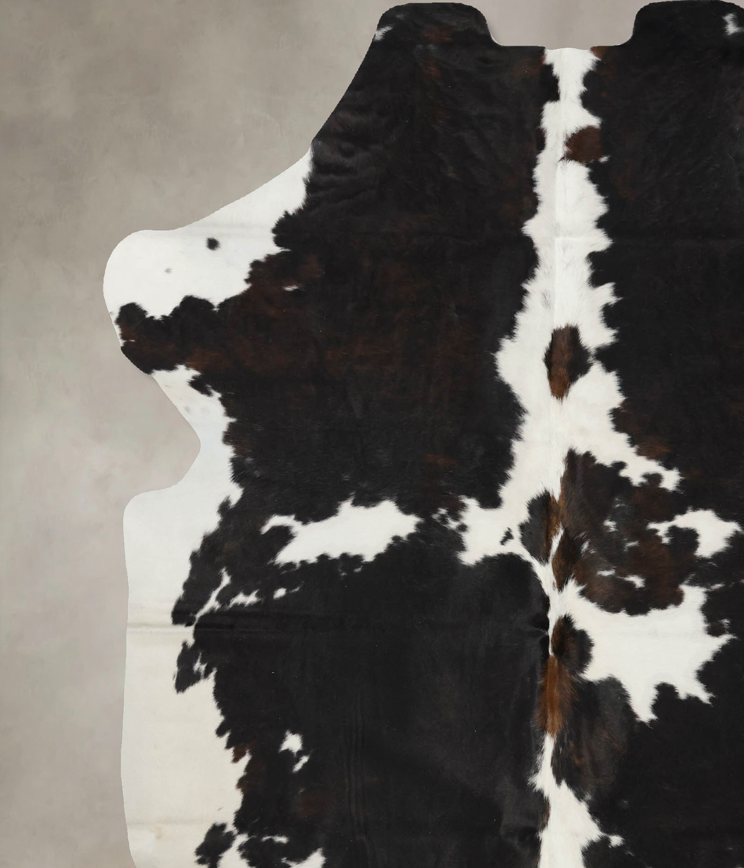 Tricolor X-Large European Cowhide Rug 7'4"H x 6'5"W #B12052 by Hudson 