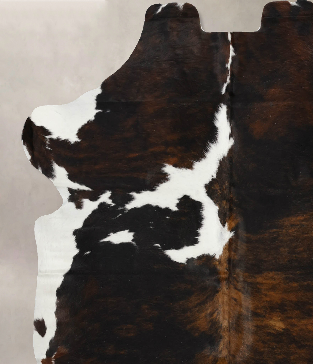 Tricolor X-Large European Cowhide Rug 6'10"H x 6'4"W #B12053 by Hudson