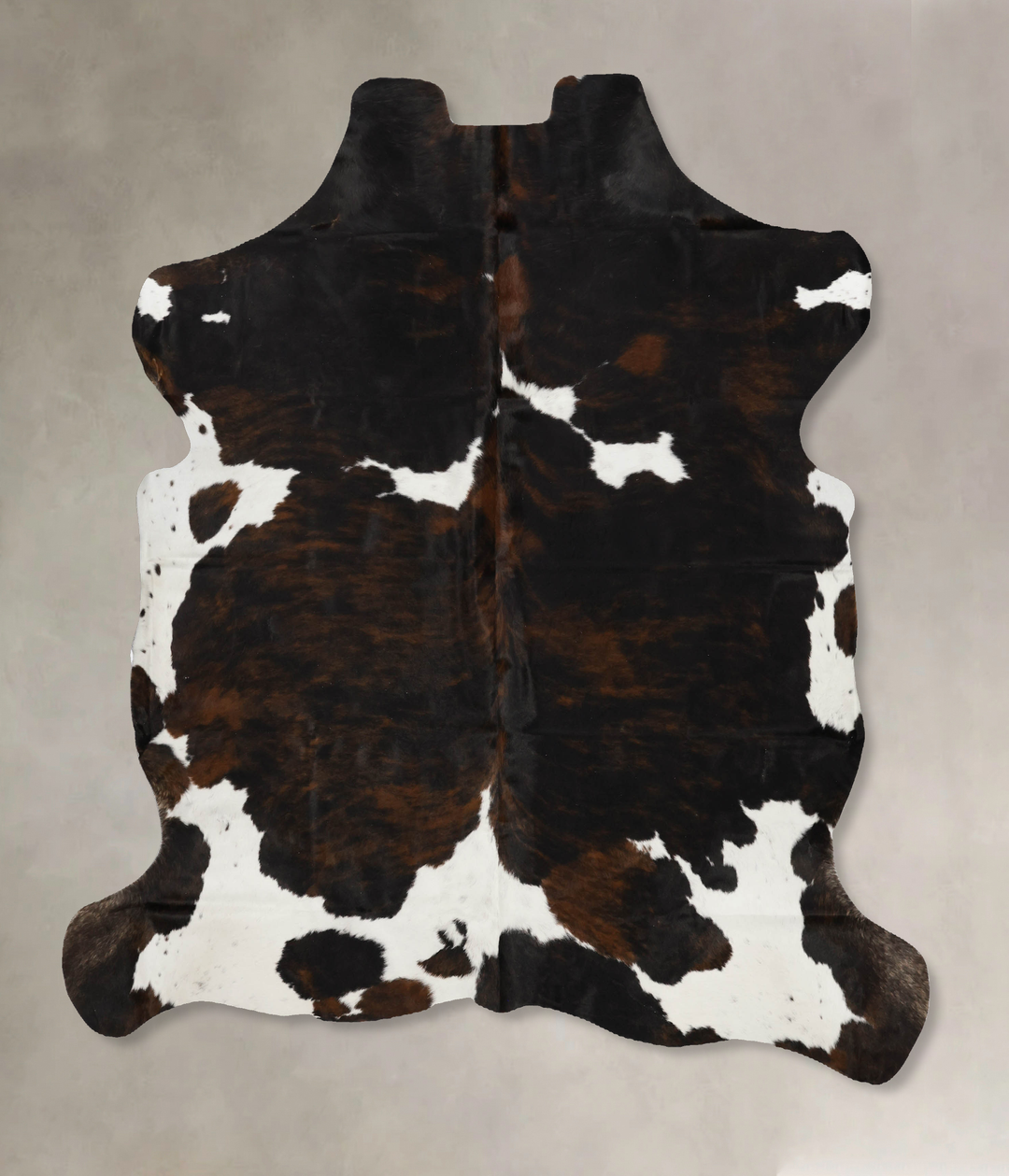 Tricolor X-Large European Cowhide Rug 7'2"H x 6'8"W #B12055 by Hudson 