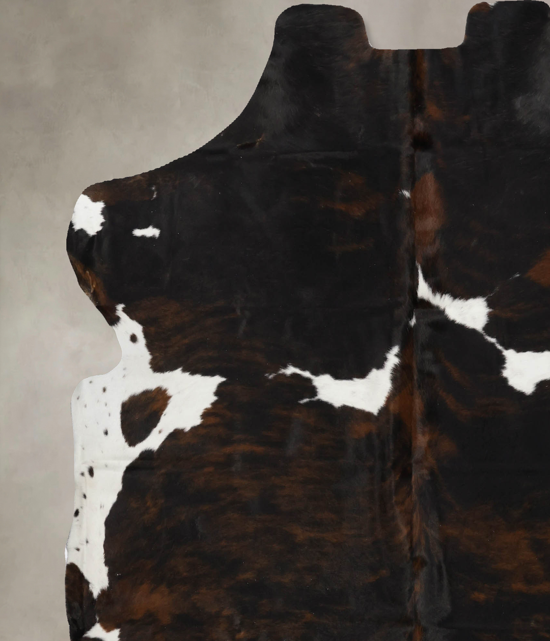 Tricolor X-Large European Cowhide Rug 7'2"H x 6'8"W #B12055 by Hudson 