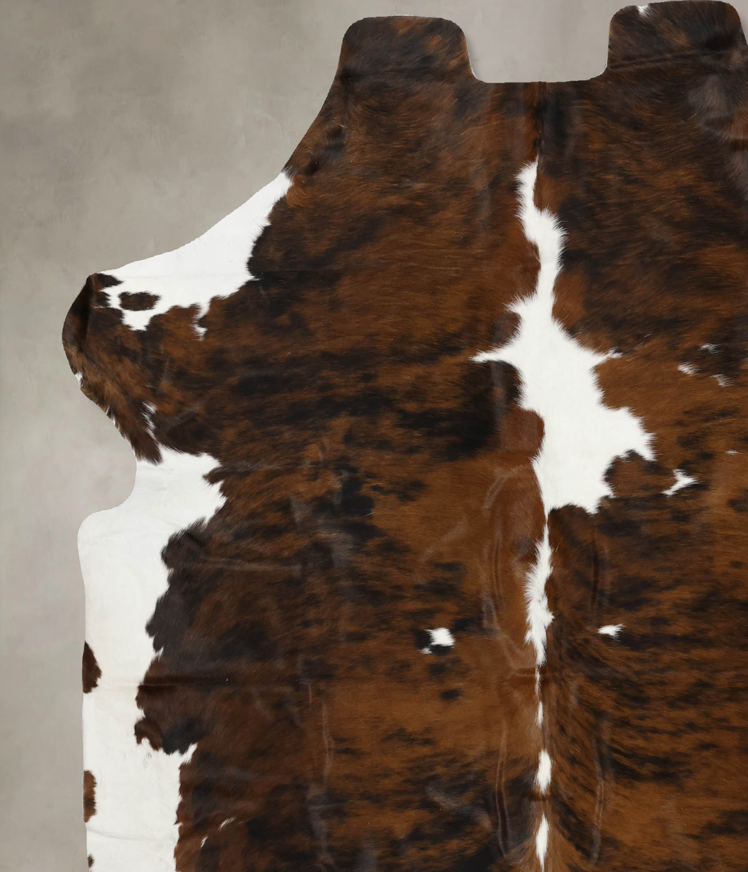 Tricolor X-Large European Cowhide Rug 7'1"H x 6'8"W #B12056 by Hudson 