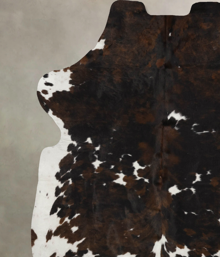 Tricolor X-Large European Cowhide Rug 7'3"H x 6'2"W #B12061 by Hudson Hides