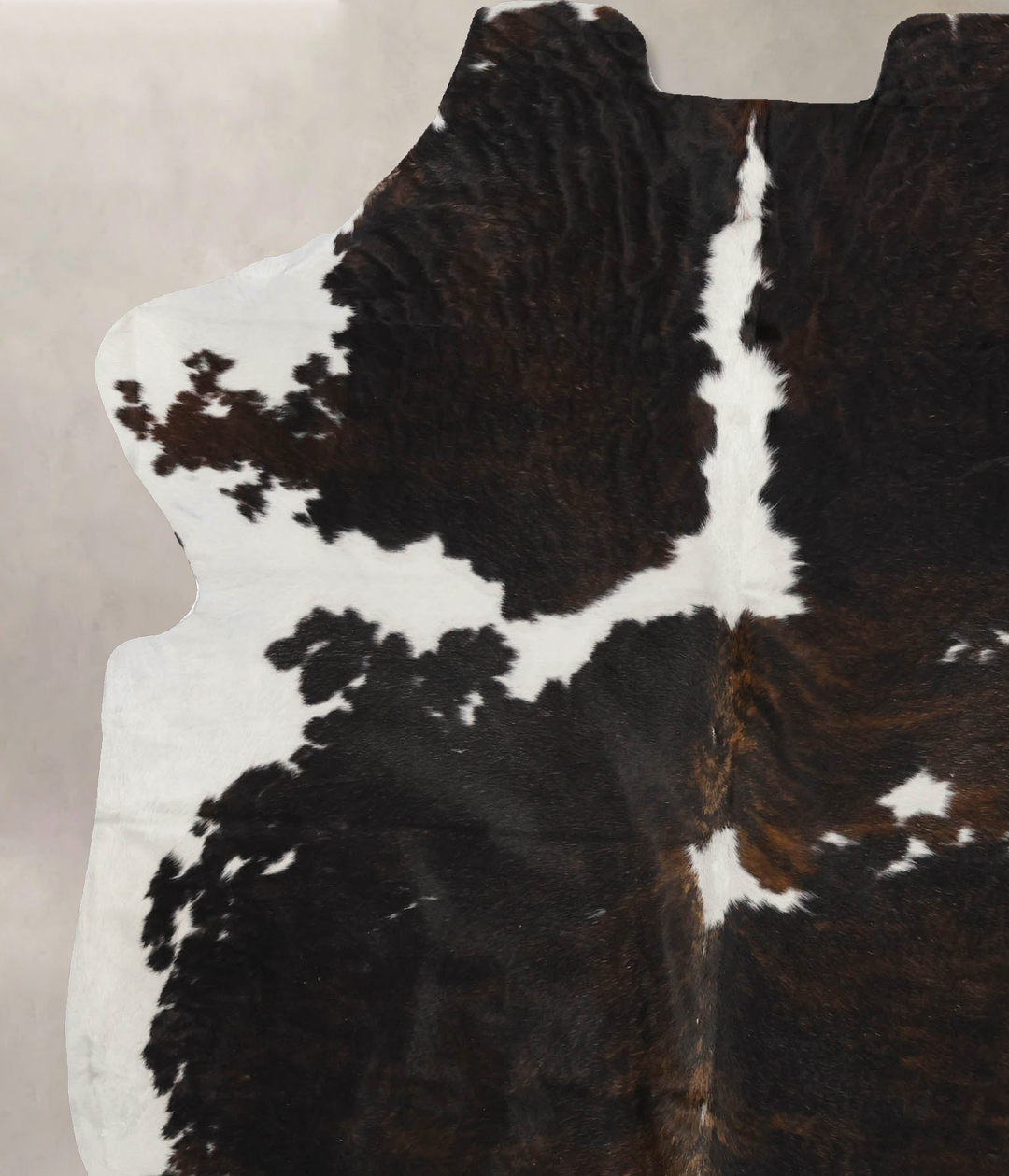 Tricolor X-Large European Cowhide Rug 7'3"H x 6'1"W #B12064 by Hudson 