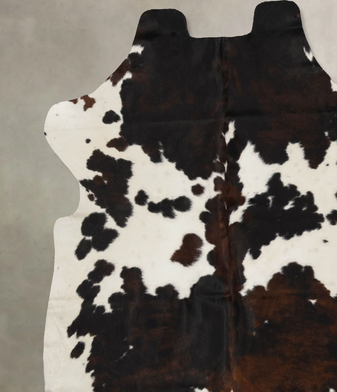 Tricolor X-Large European Cowhide Rug 7'1"H x 6'9"W #B12065 by Hudson 