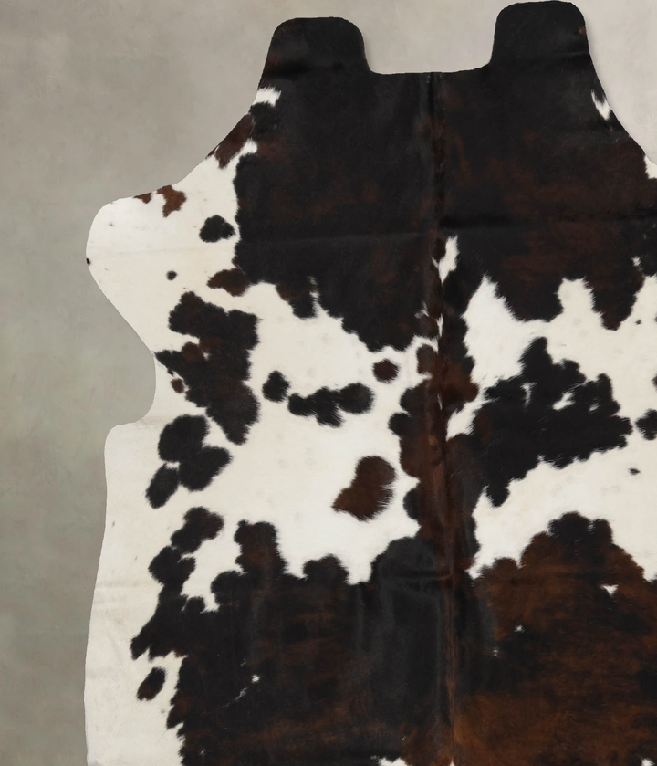 Tricolor X-Large European Cowhide Rug 7'1"H x 6'9"W #B12065 by Hudson Hides