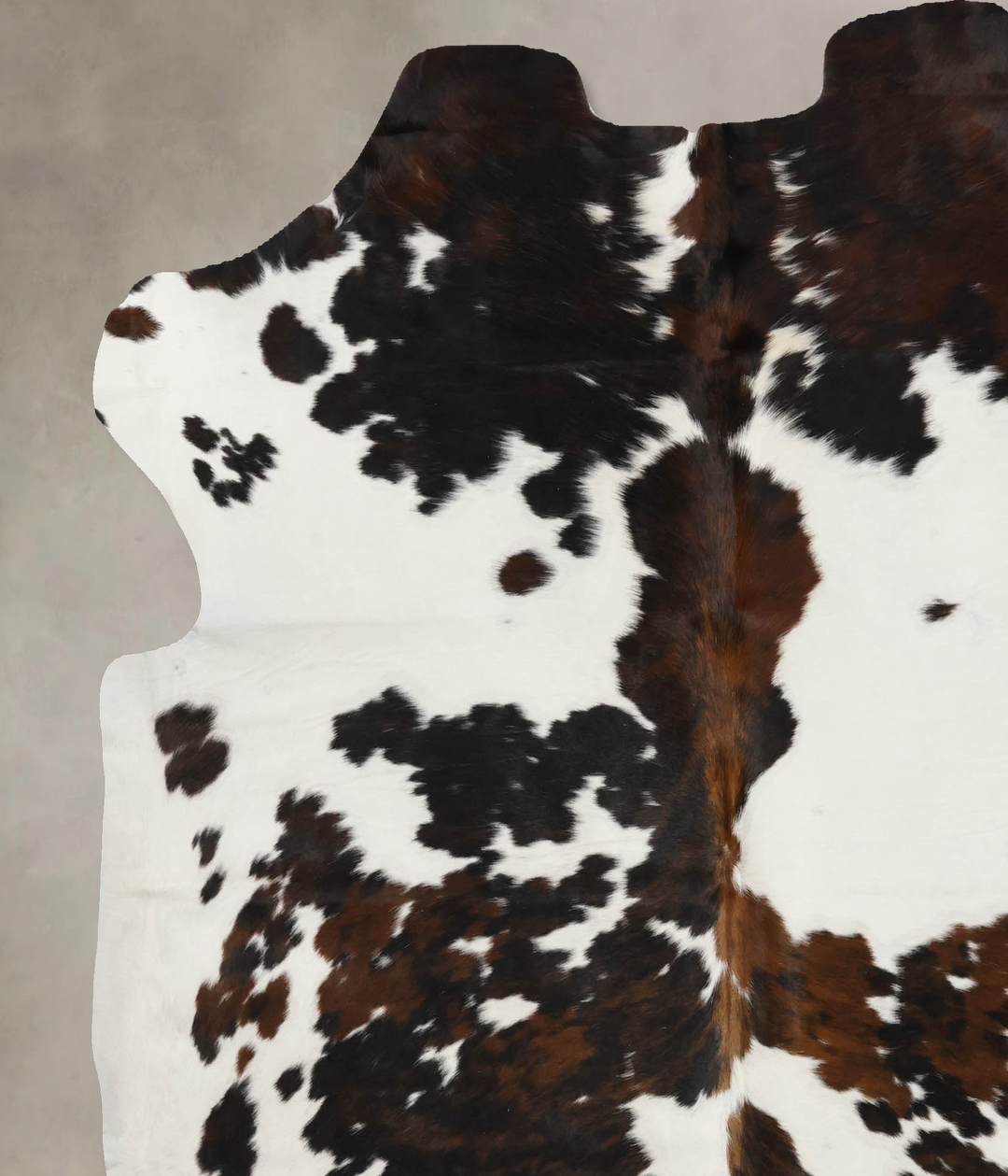 Tricolor X-Large European Cowhide Rug 7'1"H x 6'7"W #B12067 by Hudson 